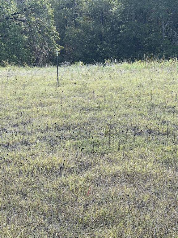 Coldspring, TX 77331,Lot 120 & 121 Crestview CIR