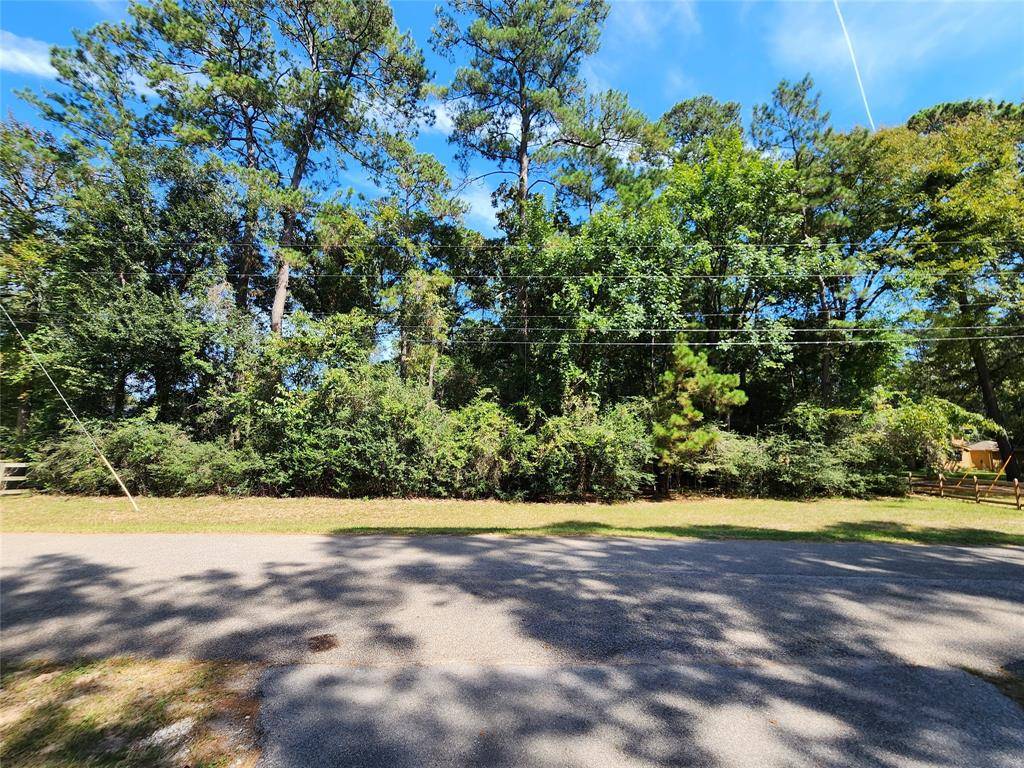 Magnolia, TX 77355,LOT 108 Sundew CT