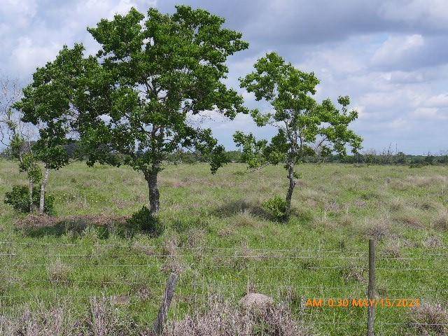 Needville, TX 77461,TBD2 Hughes RD