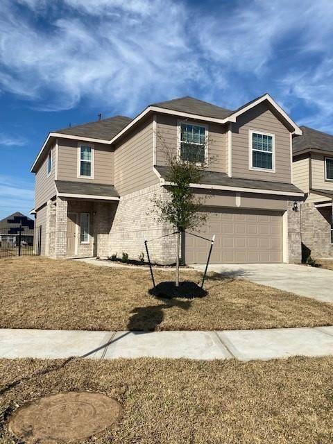 Katy, TX 77493,24934 Adami Veduta CT