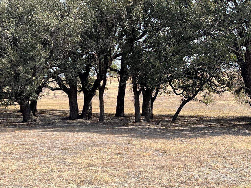 Comanche, TX 76442,Lot 142 Comanche Lake RD