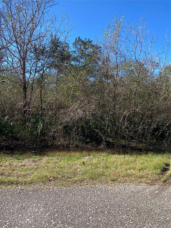 Brazoria, TX 77422,0 County Road 798