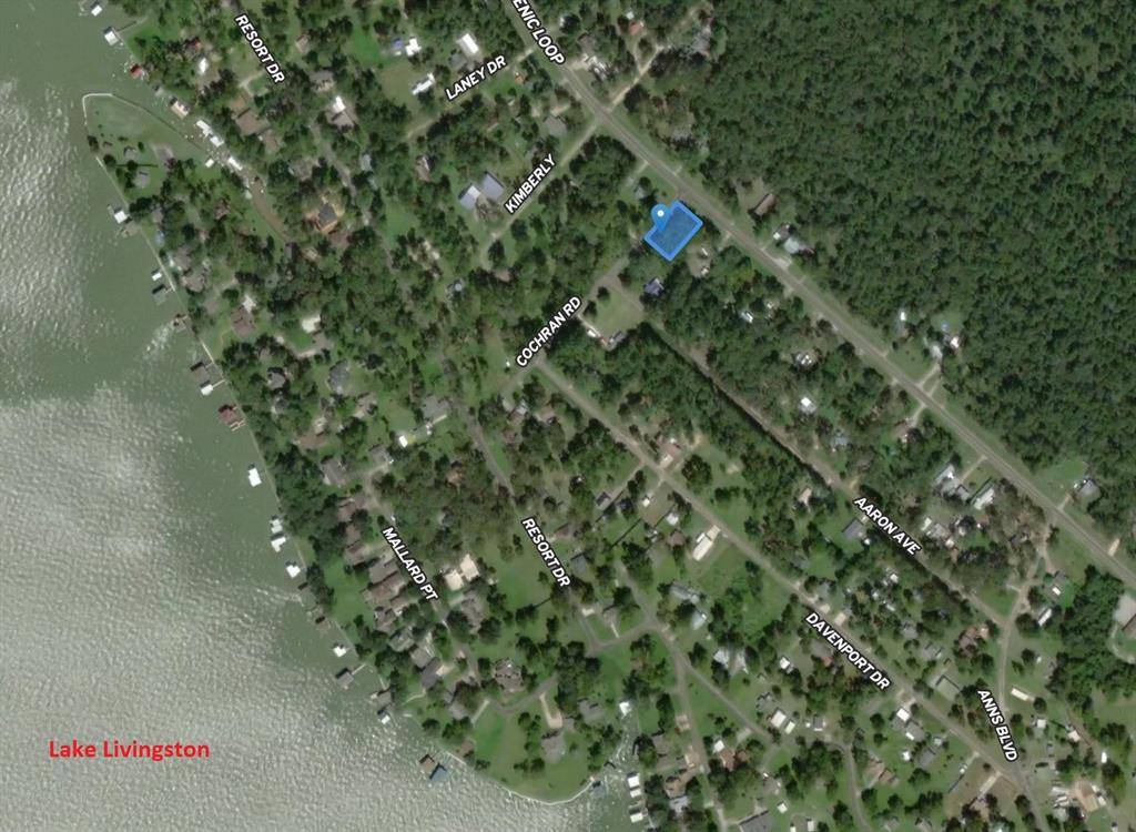 Livingston, TX 77351,133 Ernest Cochran RD