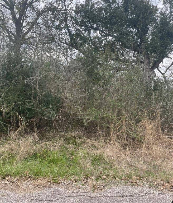 Danbury, TX 77534,Lot 83 Bayou Dr County Road 848