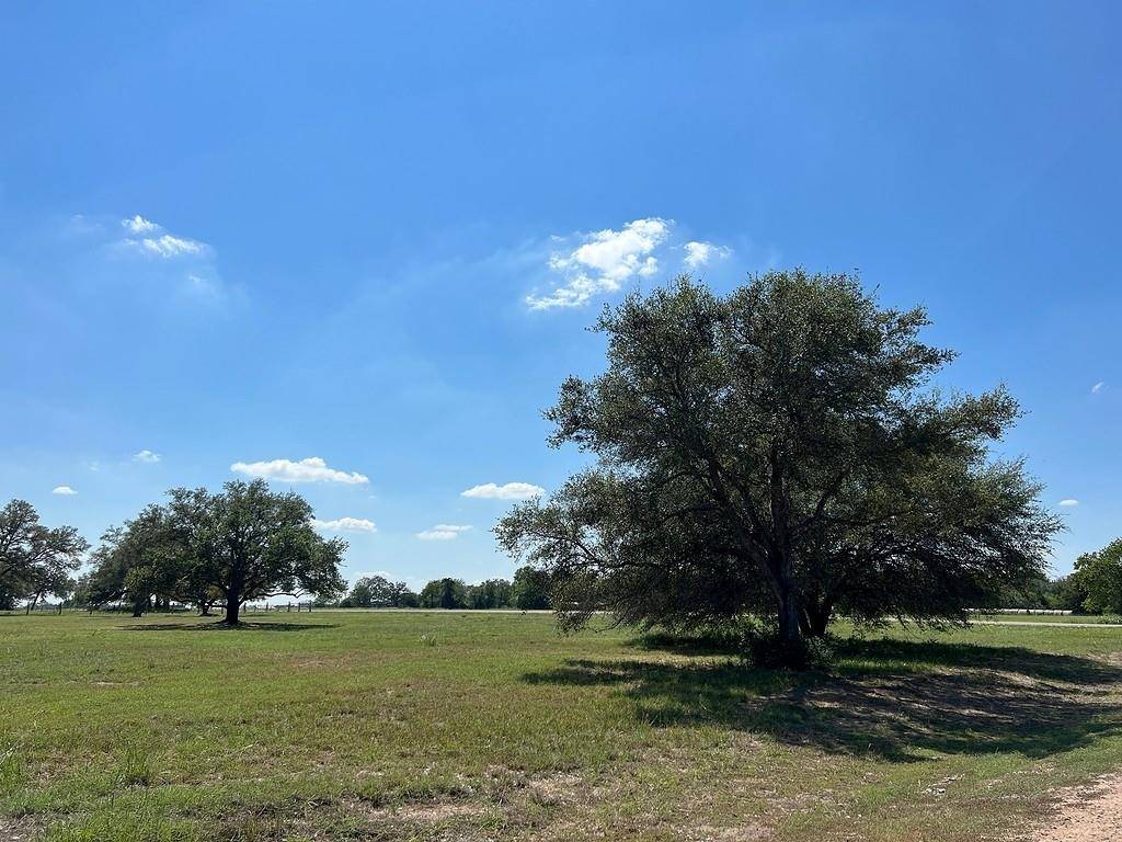 Hallettsville, TX 77964,Lot 9 PVT 1671