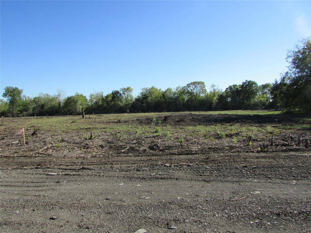 Rosharon, TX 77583,0000 (Lot 34) Trufle Rue ST