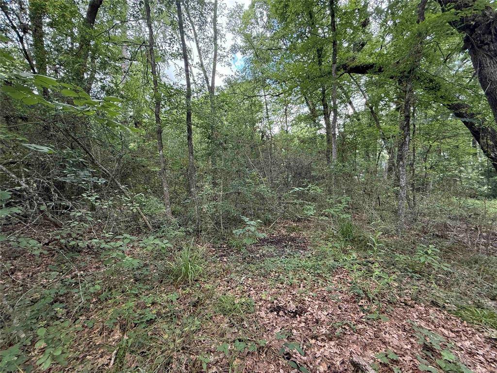 Point Blank, TX 77364,28624 Shawnee Ct