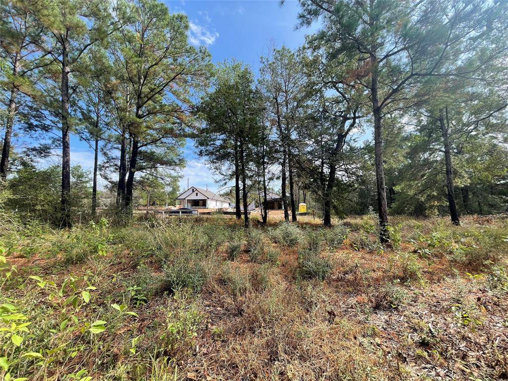 Hempstead, TX 77445,26452 Lakeshore DR