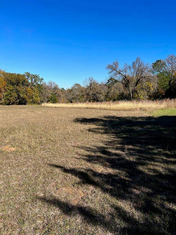 Coldspring, TX 77331,TBD Crestview CIR