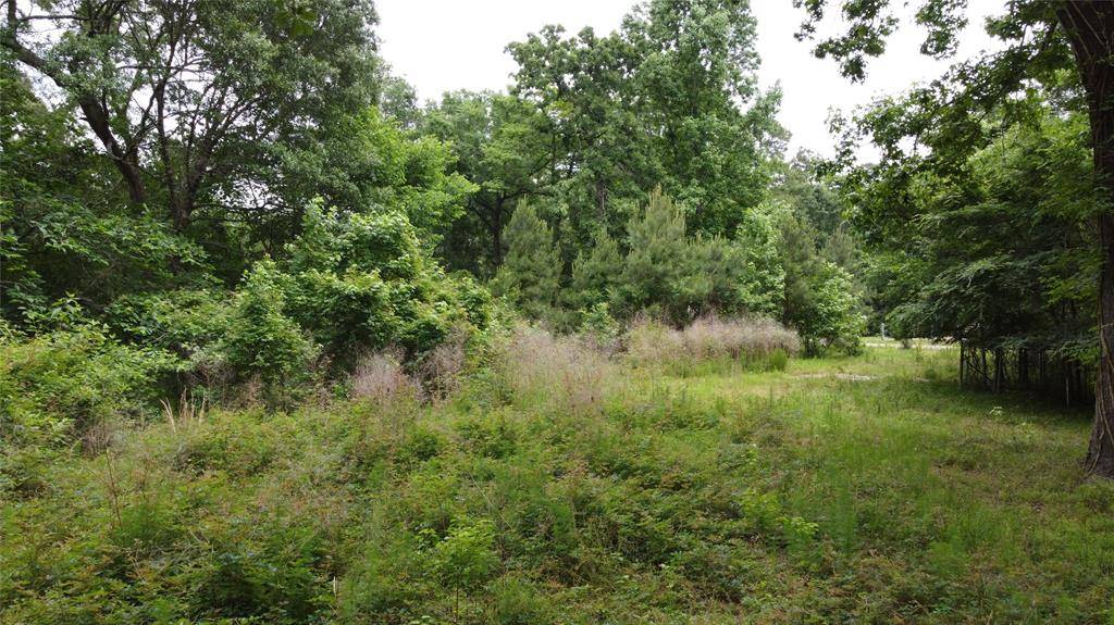 Magnolia, TX 77355,17618 Lot 52 Winding Creek LN