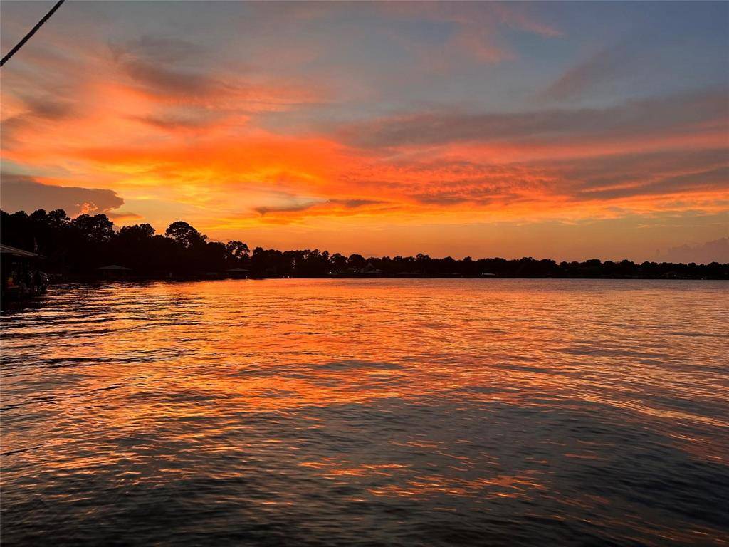 Livingston, TX 77351,Lot 20 Island View Ranch