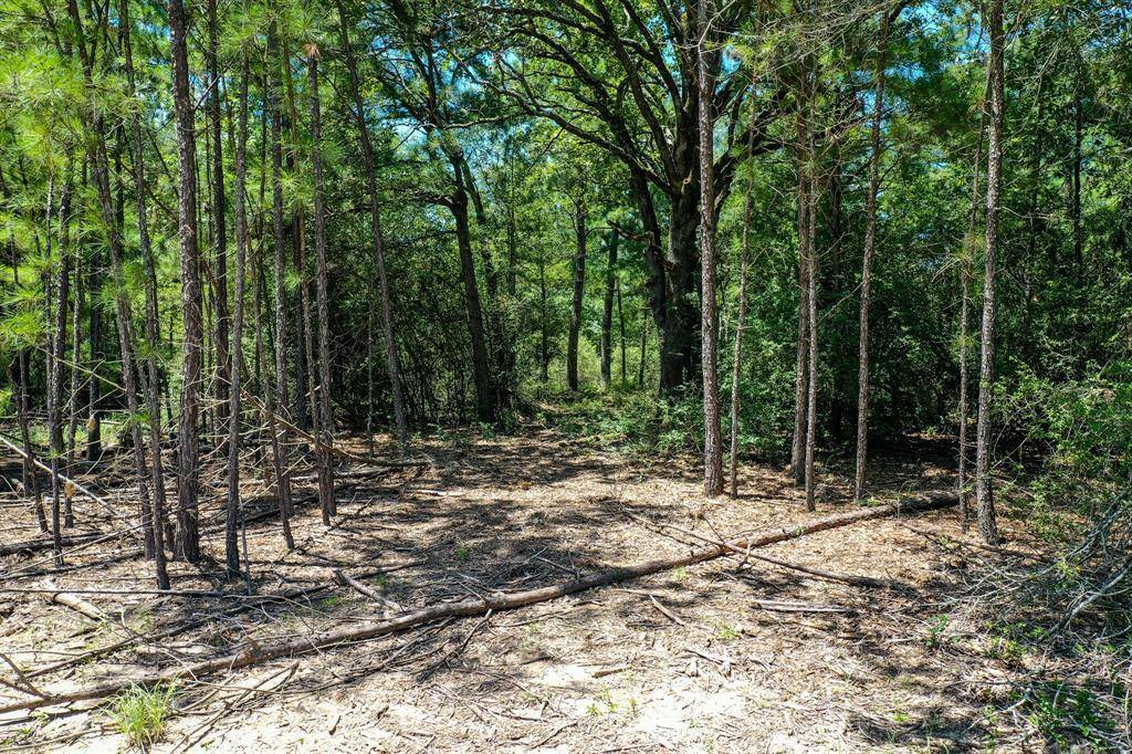 Lovelady, TX 75951,10.01 Acres Ranches At Lone Star Ridge