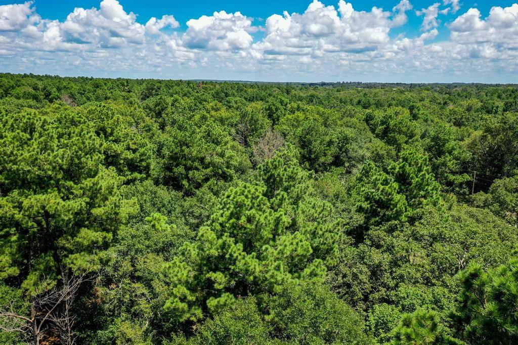 Lovelady, TX 75951,10.01 Acres Ranches At Lone Star Ridge