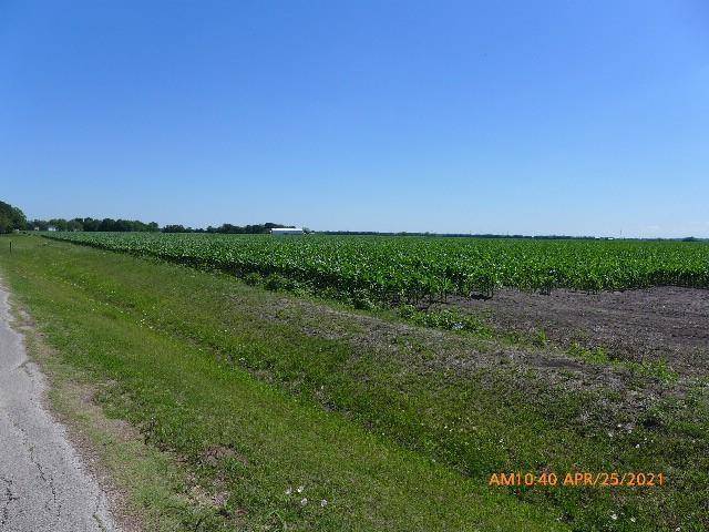 Wallis, TX 77485,0 Scroggins RD