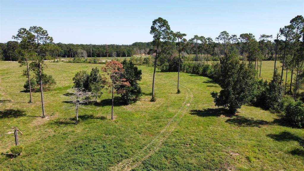 Kountze, TX 77625,6650 Burrell Trail