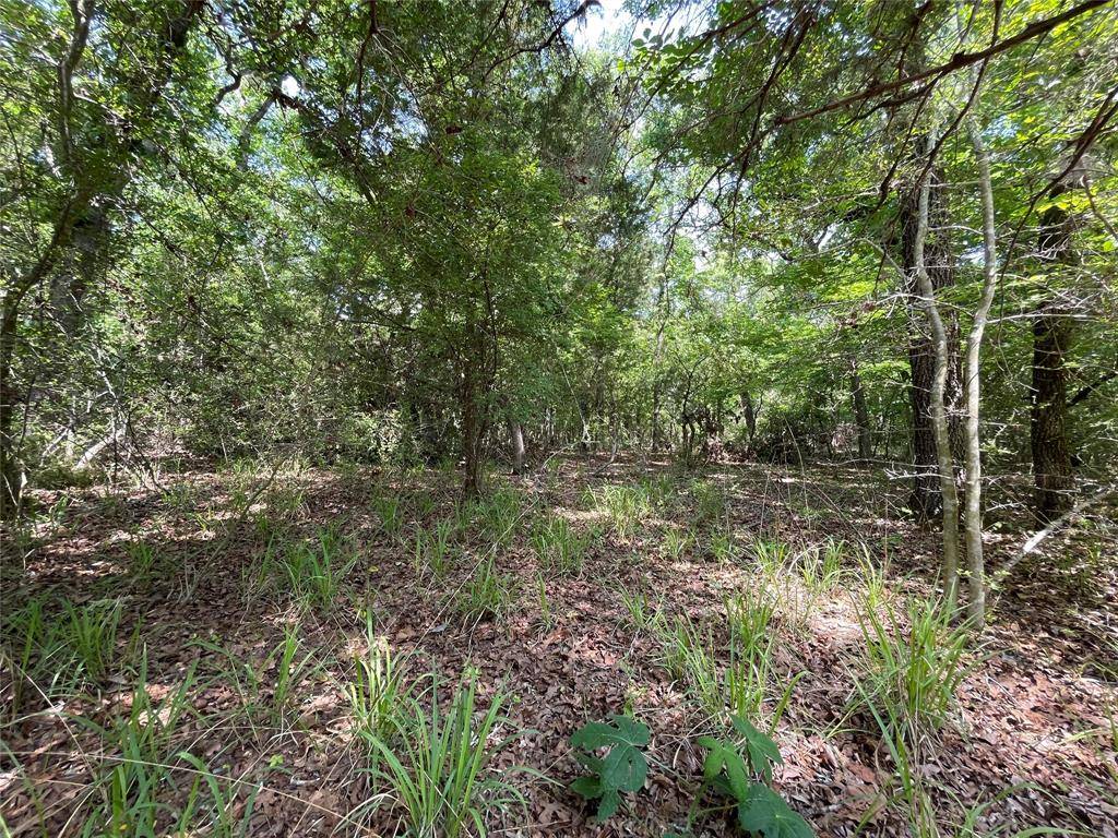 Fairfield, TX 75840,TBD Tract 13 Private Road 207