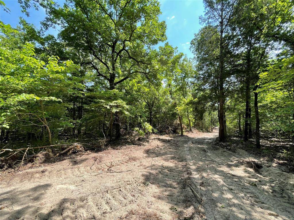 Fairfield, TX 75840,TBD Tract 13 Private Road 207