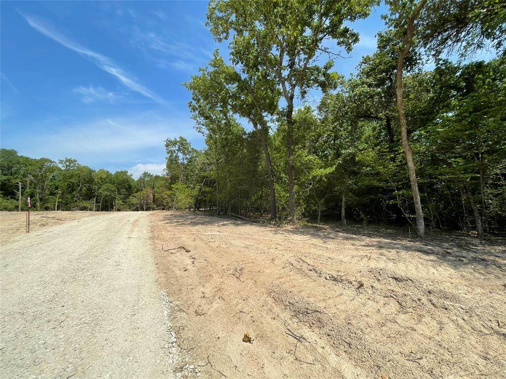 Fairfield, TX 75840,TBD Tract 13 Private Road 207