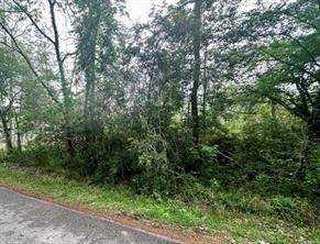 Conroe, TX 77304,Lot 2 Hanover DR