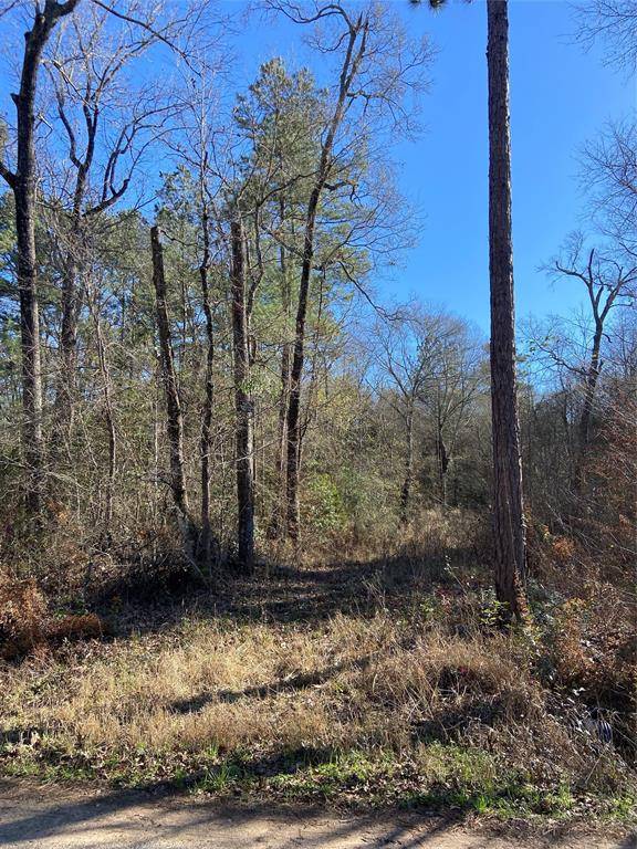 Shepherd, TX 77371,Lot 14 Sherwood DR