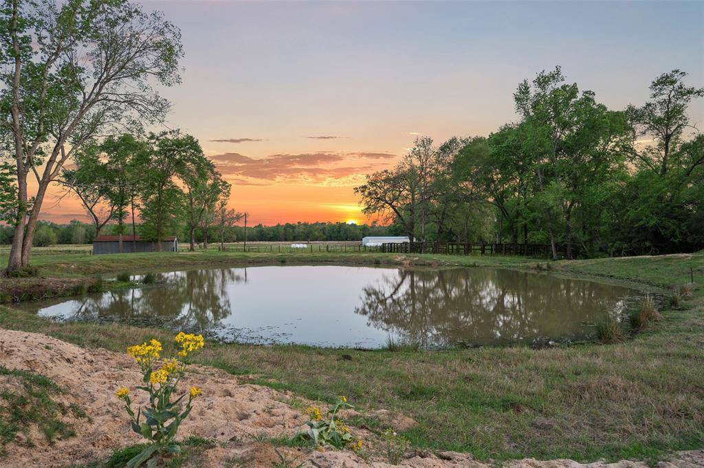 Centerville, TX 75833,3200 State Highway 75 N
