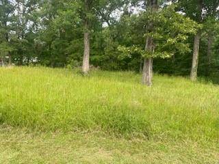 Point Blank, TX 77364,80 Paris CIR