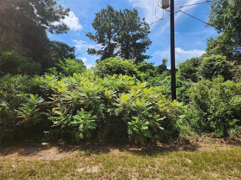 Plantersville, TX 77363,Lot 27 Mayhaw LN