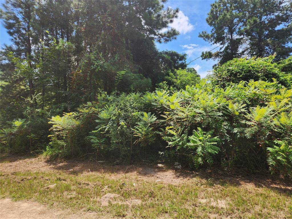 Plantersville, TX 77363,Lot 27 Mayhaw LN