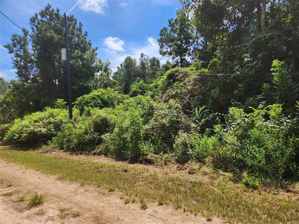 Plantersville, TX 77363,Lot 27 Mayhaw LN