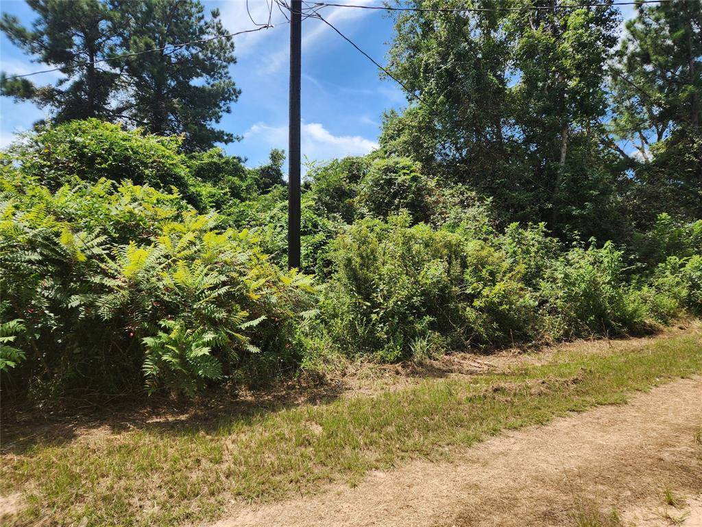 Plantersville, TX 77363,Lot 27 Mayhaw LN