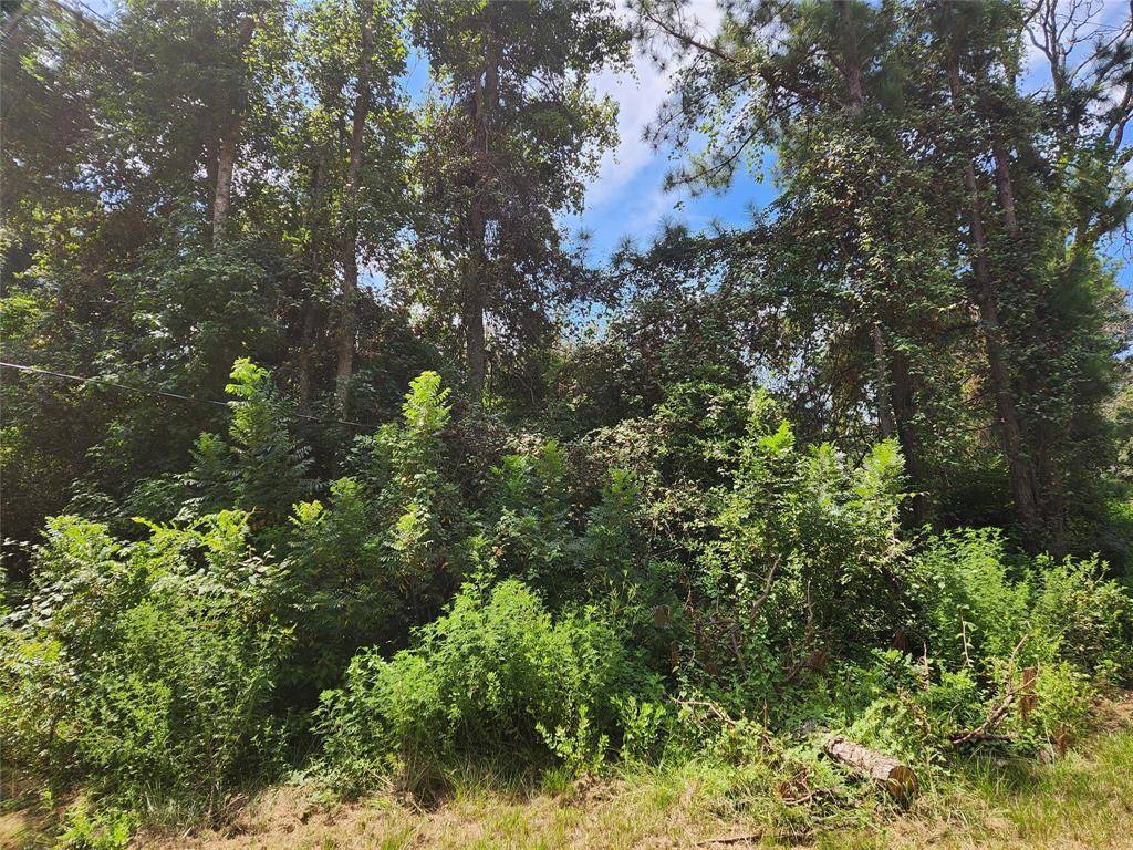 Plantersville, TX 77363,Lot 27 Mayhaw LN