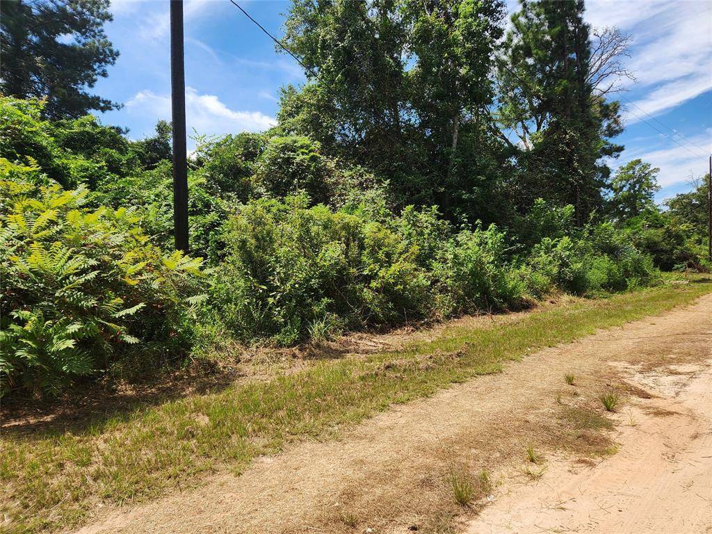 Plantersville, TX 77363,Lot 27 Mayhaw LN