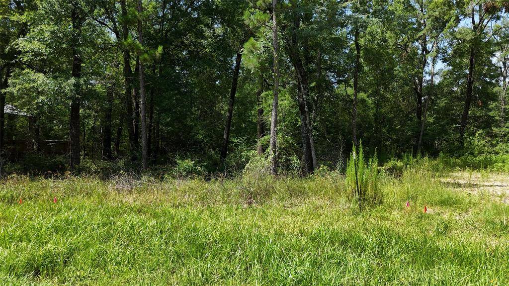 Livingston, TX 77351,00 Southland CIR