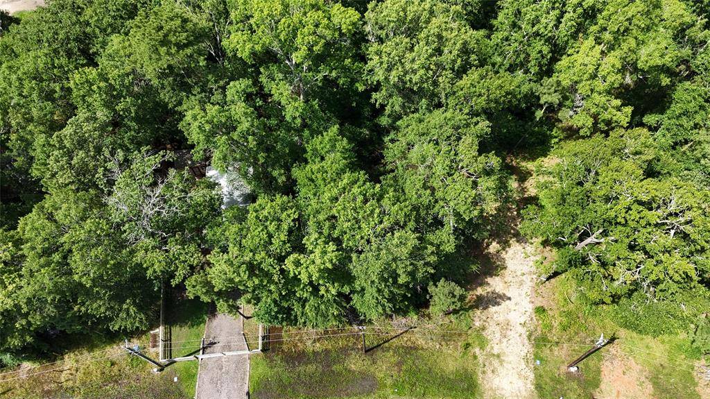 Livingston, TX 77351,00 Southland CIR