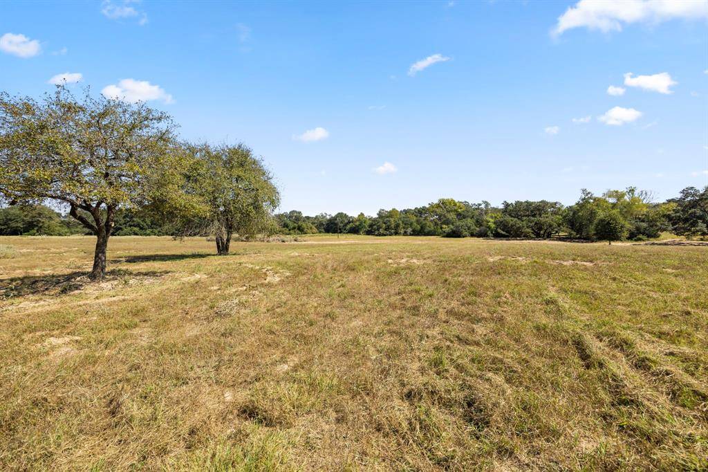 Columbus, TX 78934,TBD (TR 2) Joshua Tree Lane at Brunes Mill Rd