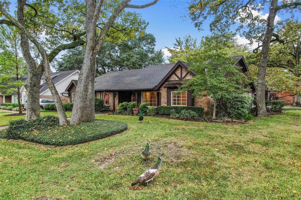 Houston, TX 77079,427 Ashford Forest DR