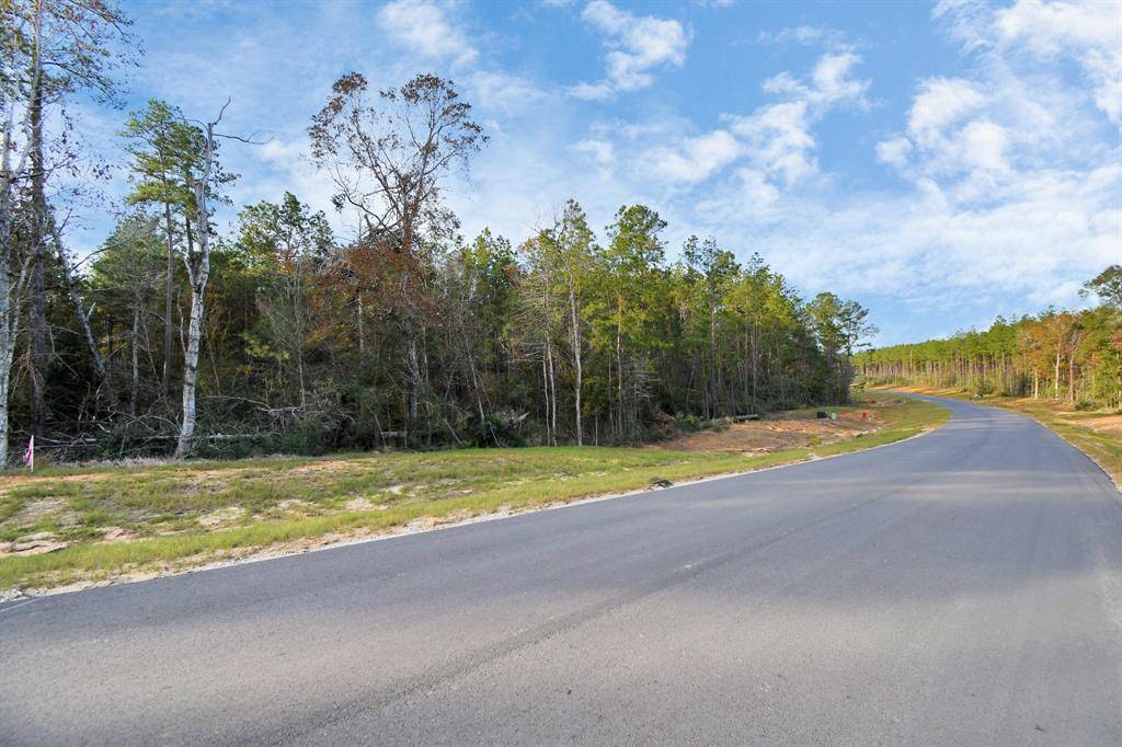 Willis, TX 77378,15884 Ridge Oak RD