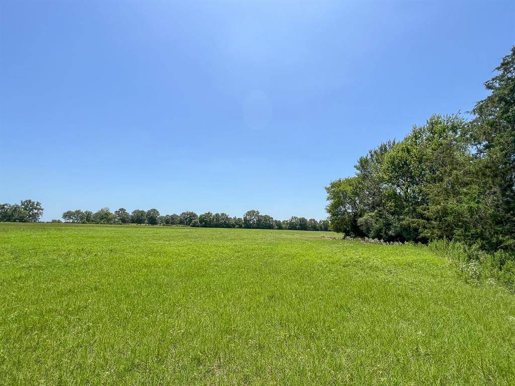 Lovelady, TX 75851,03 County Road 3625