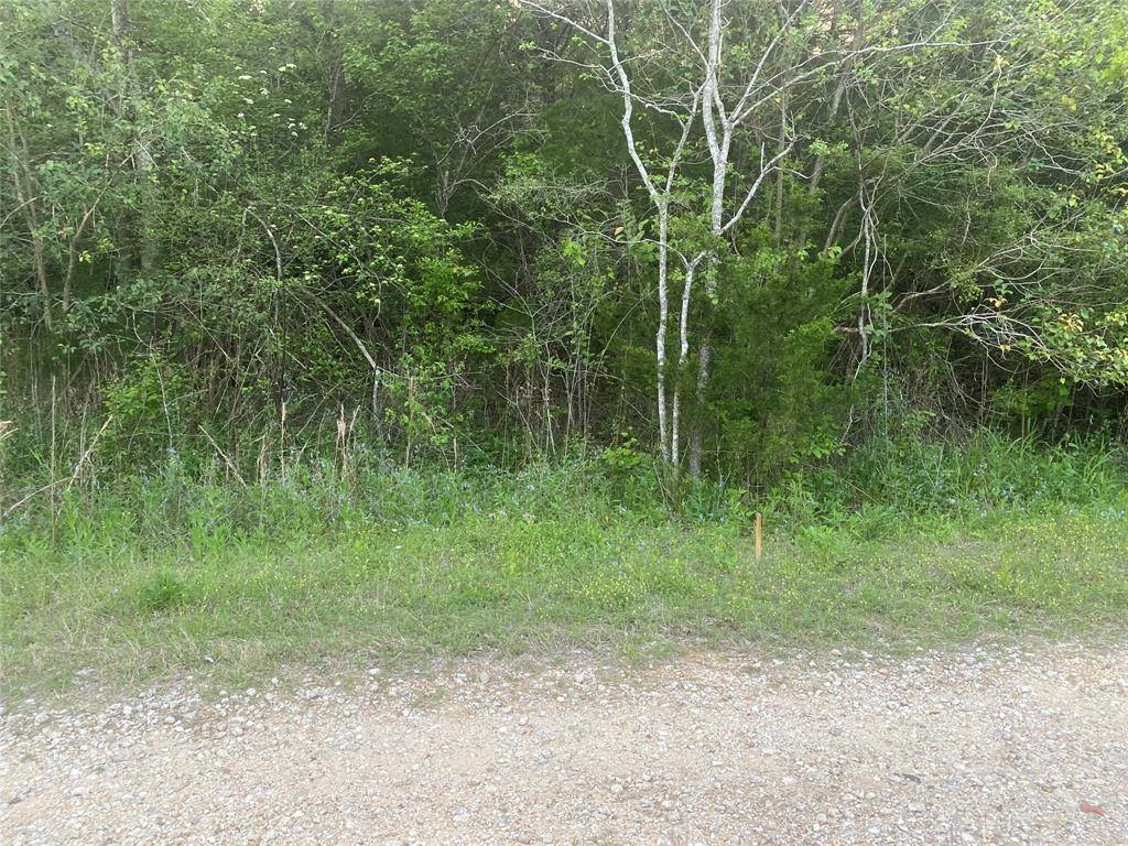 Coldspring, TX 77331,TBD Riverview DR