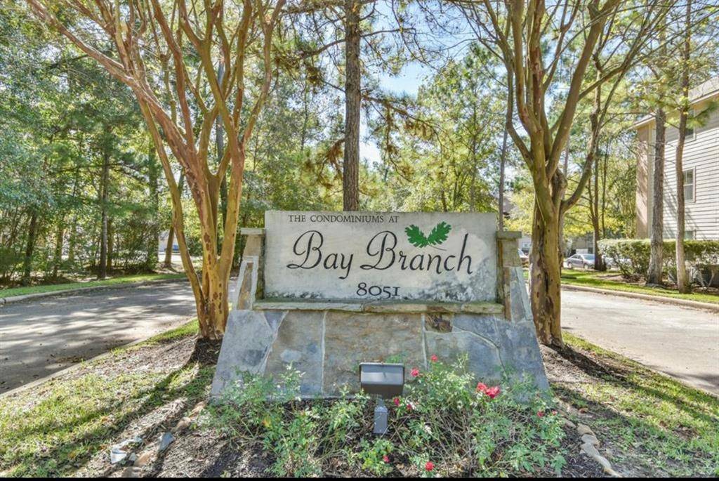 The Woodlands, TX 77382,8051 Bay Branch DR #233