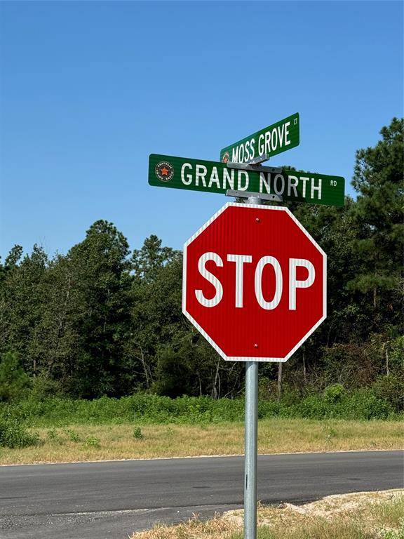 Willis, TX 77358,11682 Grand North RD