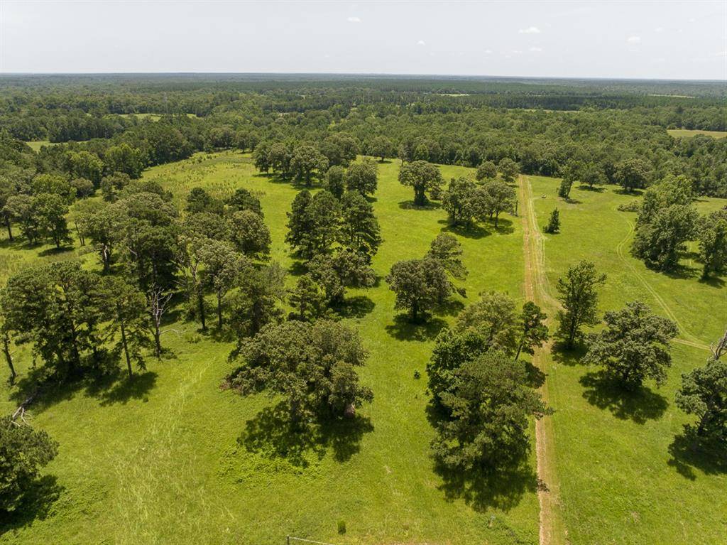 Crockett, TX 75835,TBD Live Oak Court