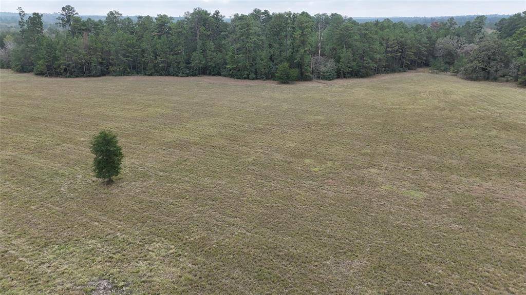 Huntsville, TX 77320,13.86 acres Tract 3 TBD Percy Howard RD