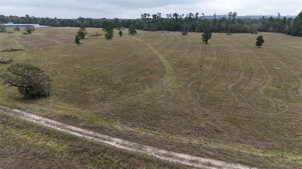 Huntsville, TX 77320,13.86 acres Tract 3 TBD Percy Howard RD