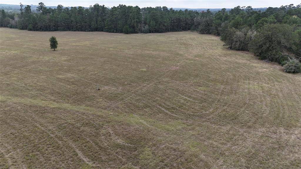 Huntsville, TX 77320,13.86 acres Tract 3 TBD Percy Howard RD