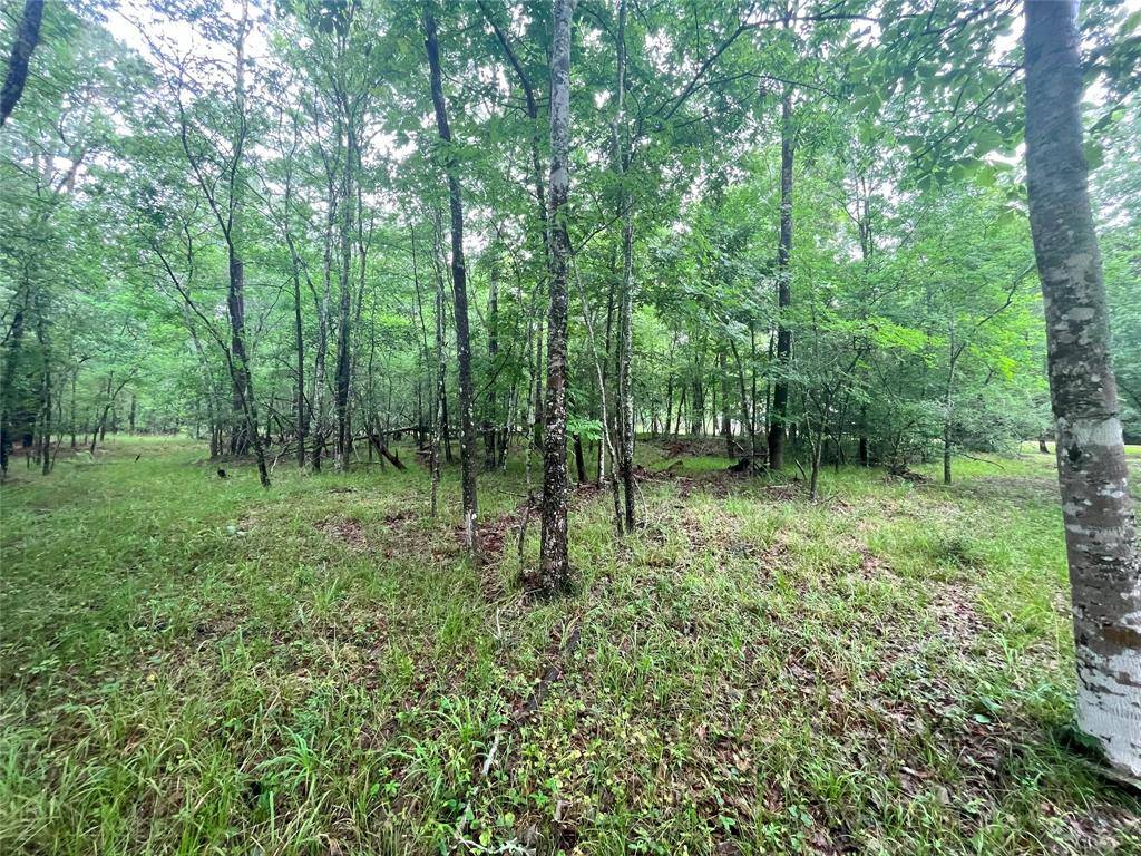 Coldspring, TX 77331,74 S Royale Greens DR