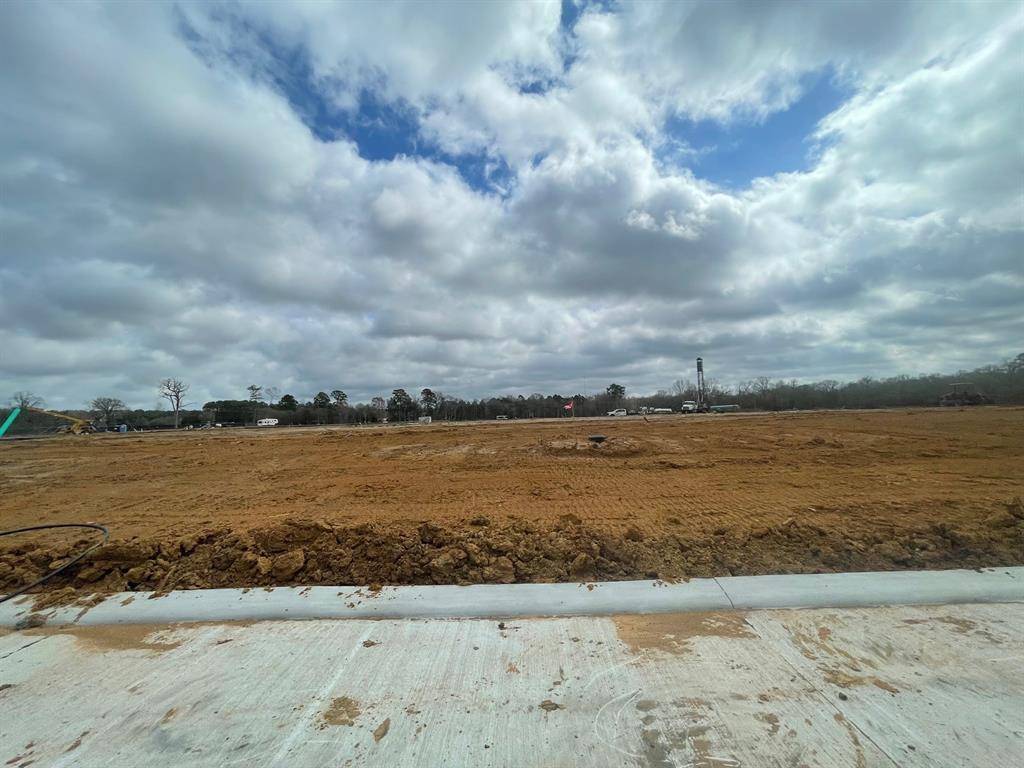 Willis, TX 77318,12023 Curlin DR