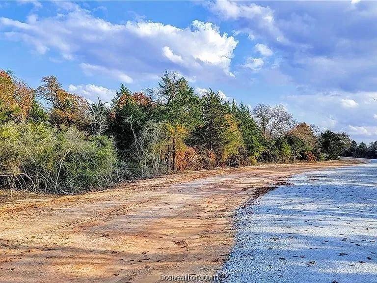 Franklin, TX 77856,4431 Hampshire Lane