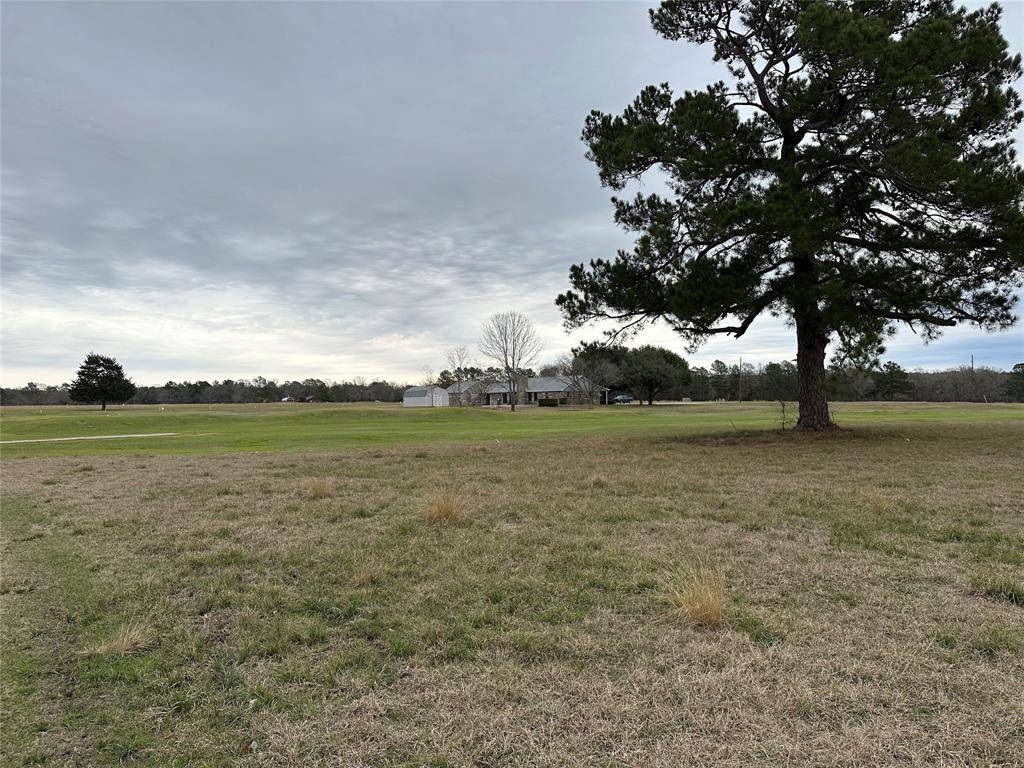 Trinity, TX 75862,Lot 20 Jonesboro PL