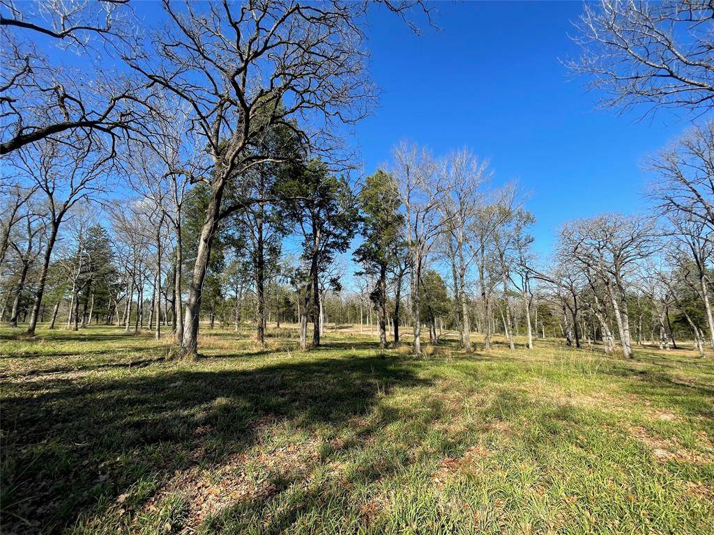 Fairfield, TX 75840,TBD Tr. 1 FCR 3285